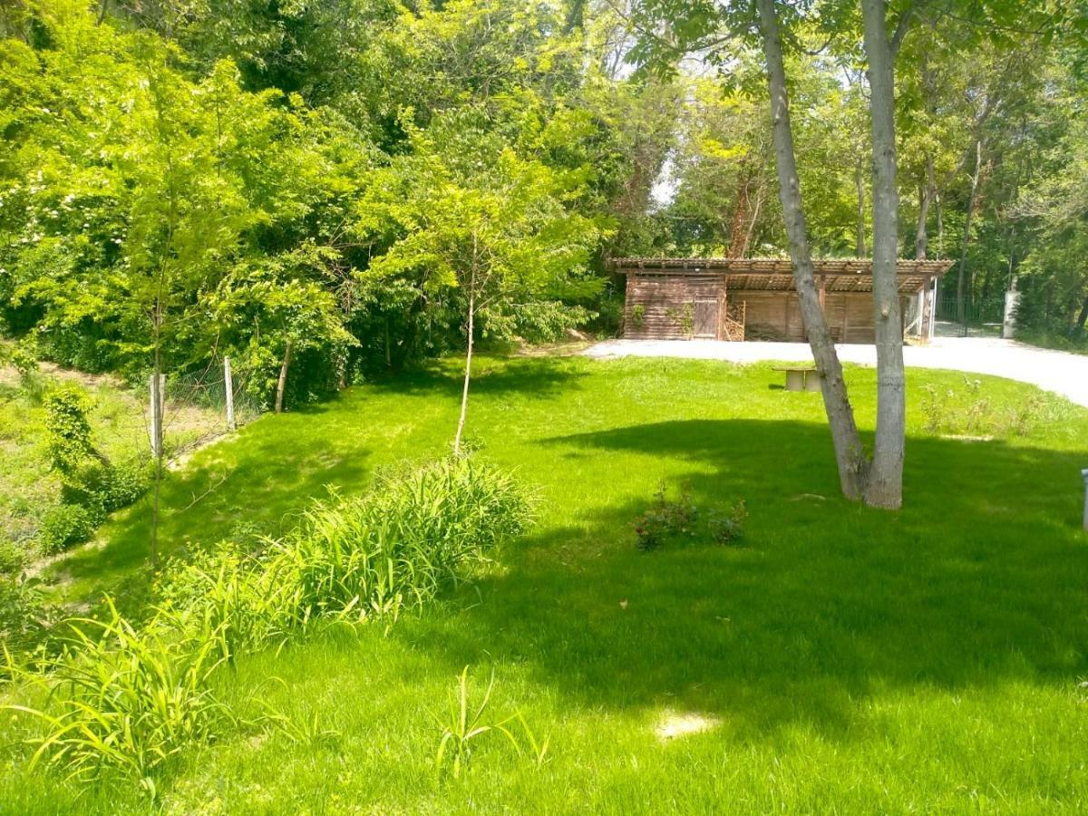 America Nei Boschi B&B Bra Buitenkant foto